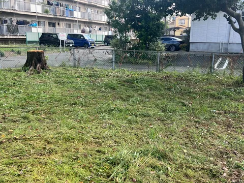 草を刈り、すっきりした公園のフェンス際の様子