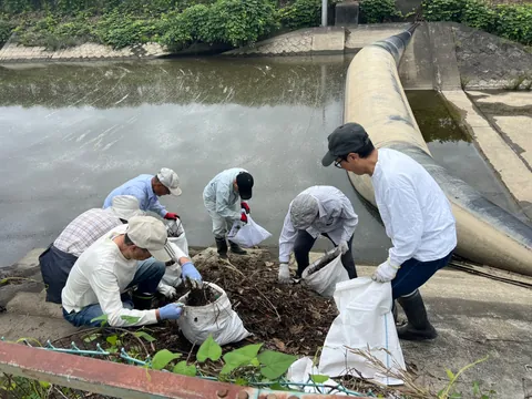 水路のそばで、集めた枝やごみを袋に入れる清掃作業