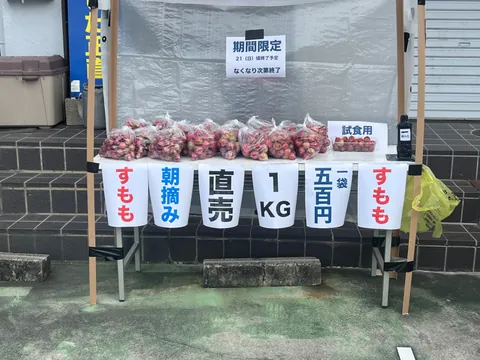 袋詰めされたすももが並ぶ、朝摘み直売の風景